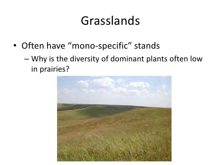 Plant Competition in Temperate Regions