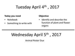 Tuesday April 4th , 2017
Today you need
• Notebook
• Something to write with
Objective
• Identify and describe the
function of plant and flower
organs
Wednesday April 5th , 2017
Animal Poster Due
 