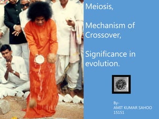 Meiosis,
Mechanism of
Crossover,
Significance in
evolution.
By-
AMIT KUMAR SAHOO
15151
 