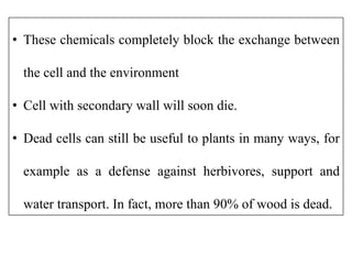 • These chemicals completely block the exchange between
the cell and the environment
• Cell with secondary wall will soon die.
• Dead cells can still be useful to plants in many ways, for
example as a defense against herbivores, support and
water transport. In fact, more than 90% of wood is dead.
 