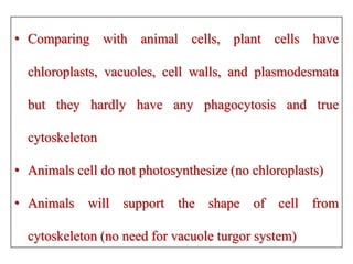 • Comparing with animal cells, plant cells have
chloroplasts, vacuoles, cell walls, and plasmodesmata
but they hardly have any phagocytosis and true
cytoskeleton
• Animals cell do not photosynthesize (no chloroplasts)
• Animals will support the shape of cell from
cytoskeleton (no need for vacuole turgor system)
 
