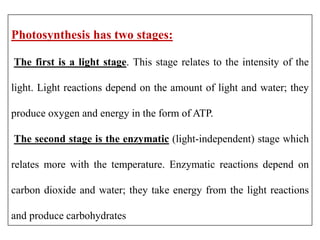 Photosynthesis has two stages:
The first is a light stage. This stage relates to the intensity of the
light. Light reactions depend on the amount of light and water; they
produce oxygen and energy in the form of ATP.
The second stage is the enzymatic (light-independent) stage which
relates more with the temperature. Enzymatic reactions depend on
carbon dioxide and water; they take energy from the light reactions
and produce carbohydrates
 