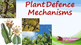 PlantDefence
Mechanisms
By- Krishna Dhakar
M.Sc. Botany
IV Semester
 