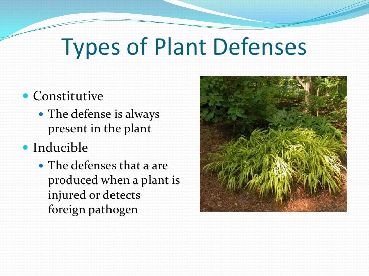 Plant defenses