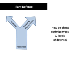 Plant Defense Theories Entomology Presentation.pptx