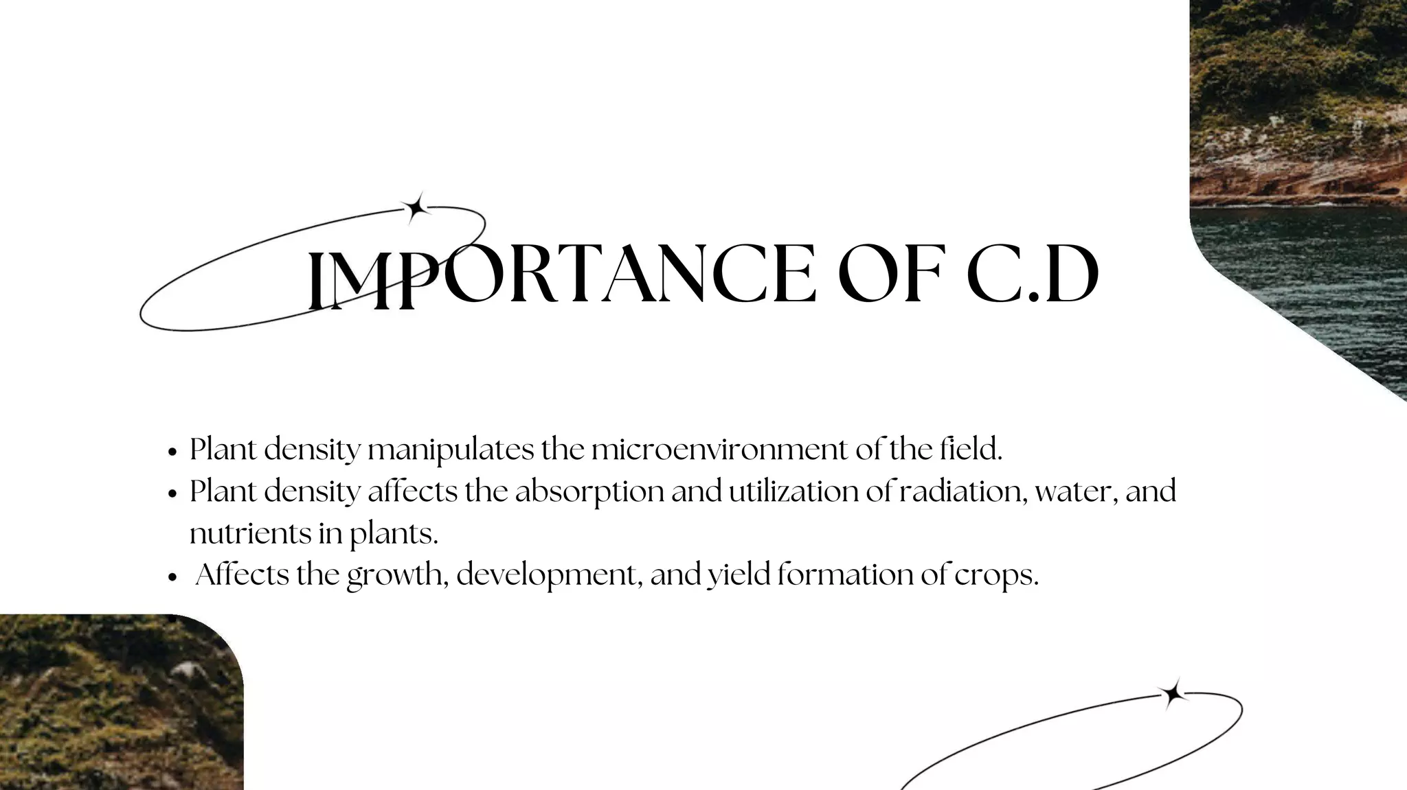 Plant density and Crop Geometry.pptx