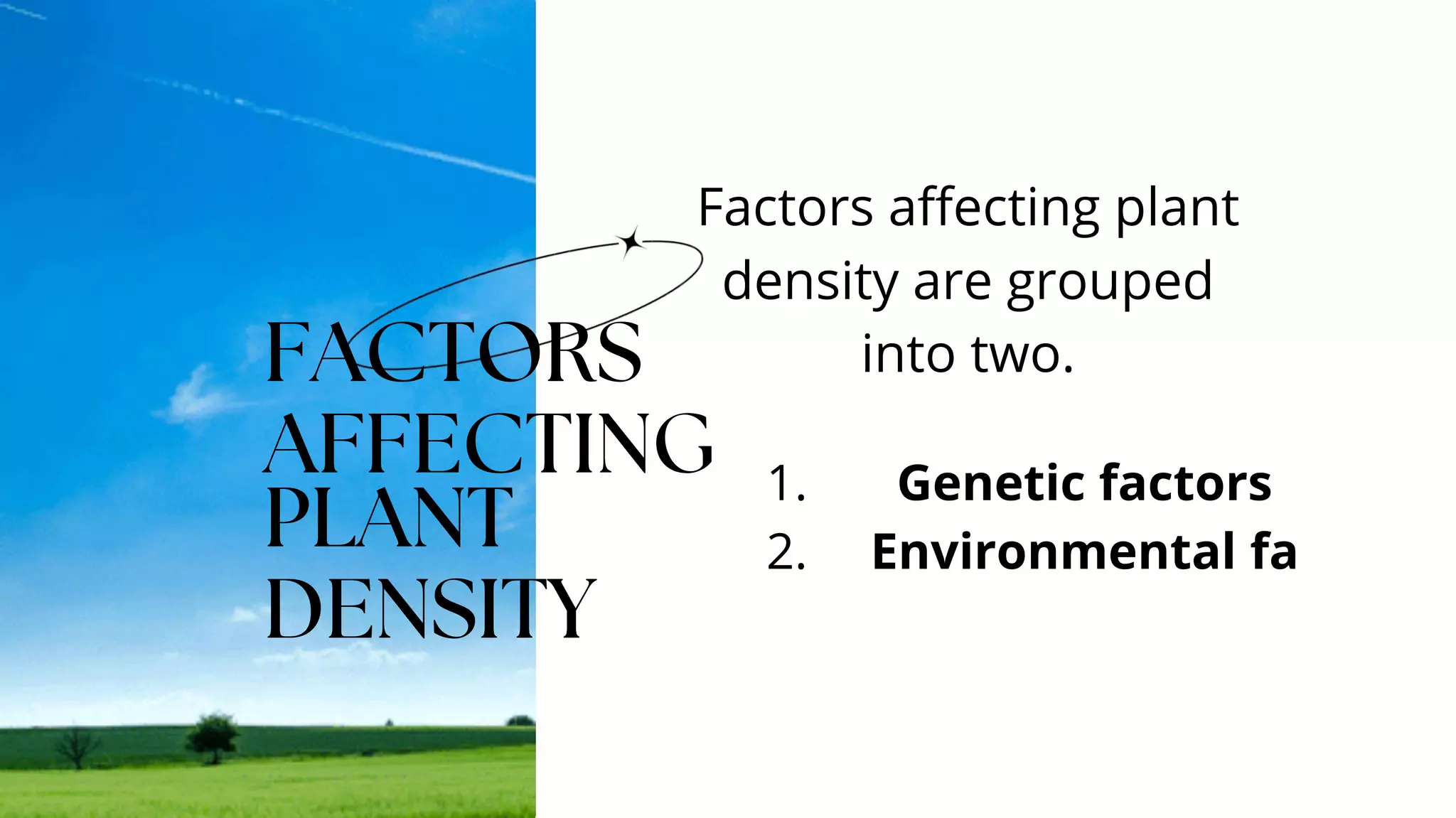 Plant density and Crop Geometry.pptx
