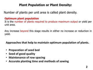 Agricultural Biotechnology Plant density and geometry.pptx