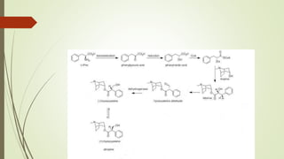 Plant derived therapeutic agents | PPTX