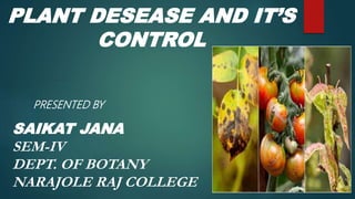 PLANT DESEASE AND IT’S
CONTROL
PRESENTED BY
SAIKAT JANA
SEM-IV
DEPT. OF BOTANY
NARAJOLE RAJ COLLEGE
 