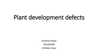 Sandeep Yadav
2011BS19D
CCSHAU, Hisar
Plant development defects
 