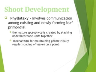 Shoot Development
 Phyllotaxy - involves communication
among existing and newly forming leaf
primordial
 the mature sporophyte is created by stacking
node/internode units together
 mechanisms for maintaining geometrically
regular spacing of leaves on a plant
 