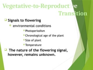 Vegetative-to-Reproductive
Transition
 Signals to flowering
 environmental conditions
Photoperiodism
Chronological age of the plant
Size of plant
Temperature
 The nature of the flowering signal,
however, remains unknown.
 