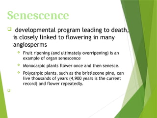 Senescence
 developmental program leading to death,
is closely linked to flowering in many
angiosperms
 Fruit ripening (and ultimately overripening) is an
example of organ senescence
 Monocarpic plants flower once and then senesce.
 Polycarpic plants, such as the bristlecone pine, can
live thousands of years (4,900 years is the current
record) and flower repeatedly.

 