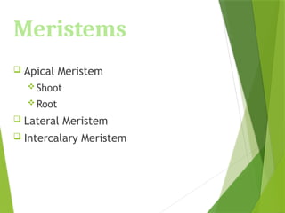 Meristems
 Apical Meristem
 Shoot
 Root
 Lateral Meristem
 Intercalary Meristem
 