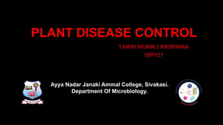 PLANT DISEASE CONTROL
T.HARI MURALI KRISHNAA
19PY21
Ayya Nadar Janaki Ammal College, Sivakasi.
Department Of Microbiology.
 