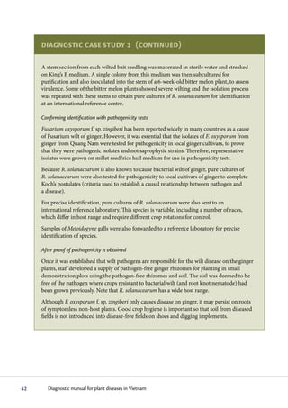 Diagnostic case study 2 (continued)

     A stem section from each wilted bait seedling was macerated in sterile water and streaked
     on King’s B medium. A single colony from this medium was then subcultured for
     purification and also inoculated into the stem of a 6-week-old bitter melon plant, to assess
     virulence. Some of the bitter melon plants showed severe wilting and the isolation process
     was repeated with these stems to obtain pure cultures of R. solanacearum for identification
     at an international reference centre.

     Confirming identification with pathogenicity tests
     Fusarium oxysporum f. sp. zingiberi has been reported widely in many countries as a cause
     of Fusarium wilt of ginger. However, it was essential that the isolates of F. oxysporum from
     ginger from Quang Nam were tested for pathogenicity in local ginger cultivars, to prove
     that they were pathogenic isolates and not saprophytic strains. Therefore, representative
     isolates were grown on millet seed/rice hull medium for use in pathogenicity tests.
     Because R. solanacearum is also known to cause bacterial wilt of ginger, pure cultures of
     R. solanacearum were also tested for pathogenicity to local cultivars of ginger to complete
     Koch’s postulates (criteria used to establish a causal relationship between pathogen and
     a disease).
     For precise identification, pure cultures of R. solanacearum were also sent to an
     international reference laboratory. This species is variable, including a number of races,
     which differ in host range and require different crop rotations for control.
     Samples of Meloidogyne galls were also forwarded to a reference laboratory for precise
     identification of species.

     After proof of pathogenicity is obtained
     Once it was established that wilt pathogens are responsible for the wilt disease on the ginger
     plants, staff developed a supply of pathogen-free ginger rhizomes for planting in small
     demonstration plots using the pathogen-free rhizomes and soil. The soil was deemed to be
     free of the pathogen where crops resistant to bacterial wilt (and root knot nematode) had
     been grown previously. Note that R. solanacearum has a wide host range.
     Although F. oxysporum f. sp. zingiberi only causes disease on ginger, it may persist on roots
     of symptomless non-host plants. Good crop hygiene is important so that soil from diseased
     fields is not introduced into disease-free fields on shoes and digging implements.




42      Diagnostic manual for plant diseases in Vietnam
 