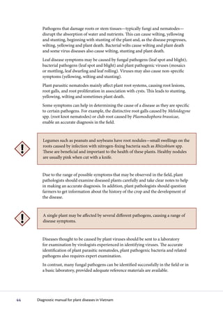 Pathogens that damage roots or stem tissues—typically fungi and nematodes—
        disrupt the absorption of water and nutrients. This can cause wilting, yellowing
        and stunting, beginning with stunting of the plant and, as the disease progresses,
        wilting, yellowing and plant death. Bacterial wilts cause wilting and plant death
        and some virus diseases also cause wilting, stunting and plant death.
        Leaf disease symptoms may be caused by fungal pathogens (leaf spot and blight),
        bacterial pathogens (leaf spot and blight) and plant pathogenic viruses (mosaics
        or mottling, leaf dwarfing and leaf rolling). Viruses may also cause non-specific
        symptoms (yellowing, wilting and stunting).
        Plant parasitic nematodes mainly affect plant root systems, causing root lesions,
        root galls, and root proliferation in association with cysts. This leads to stunting,
        yellowing, wilting and sometimes plant death.
        Some symptoms can help in determining the cause of a disease as they are specific
        to certain pathogens. For example, the distinctive root galls caused by Meloidogyne
        spp. (root knot nematodes) or club root caused by Plasmodiophora brassicae,
        enable an accurate diagnosis in the field.



        Legumes such as peanuts and soybeans have root nodules—small swellings on the
        roots caused by infection with nitrogen-fixing bacteria such as Rhizobium spp.
        These are beneficial and important to the health of these plants. Healthy nodules
        are usually pink when cut with a knife.


        Due to the range of possible symptoms that may be observed in the field, plant
        pathologists should examine diseased plants carefully and take clear notes to help
        in making an accurate diagnosis. In addition, plant pathologists should question
        farmers to get information about the history of the crop and the development of
        the disease.



        A single plant may be affected by several different pathogens, causing a range of
        disease symptoms.



        Diseases thought to be caused by plant viruses should be sent to a laboratory
        for examination by virologists experienced in identifying viruses. The accurate
        identification of plant parasitic nematodes, plant pathogenic bacteria and related
        pathogens also requires expert examination.
        In contrast, many fungal pathogens can be identified successfully in the field or in
        a basic laboratory, provided adequate reference materials are available.




44   Diagnostic manual for plant diseases in Vietnam
 