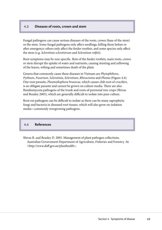 4.3      Diseases of roots, crown and stem


Fungal pathogens can cause serious diseases of the roots, crown (base of the stem)
or the stem. Some fungal pathogens only affect seedlings, killing them before or
after emergence; others only affect the feeder rootlets, and some species only affect
the stem (e.g. Sclerotinia sclerotiorum and Sclerotium rolfsii).
Root symptoms may be non-specific. Rots of the feeder rootlets, main roots, crown
or stem disrupt the uptake of water and nutrients, causing stunting and yellowing
of the leaves, wilting and sometimes death of the plant.
Genera that commonly cause these diseases in Vietnam are Phytophthora,
Pythium, Fusarium, Sclerotinia, Sclerotium, Rhizoctonia and Phoma (Figure 4.4).
One root parasite, Plasmodiophora brassicae, which causes club root of crucifers,
is an obligate parasite and cannot be grown on culture media. There are also
Basidiomycota pathogens of the trunk and roots of perennial tree crops (Shivas
and Beasley 2005), which are generally difficult to isolate into pure culture.
Root rot pathogens can be difficult to isolate as there can be many saprophytic
fungi and bacteria in diseased root tissues, which will also grow on isolation
media—commonly overgrowing pathogens.



4.4      References


Shivas R. and Beasley D. 2005. Management of plant pathogen collections.
   Australian Government Department of Agriculture, Fisheries and Forestry. At:
   <http://www.daff.gov.au/planthealth>.




                                                           Section 4. Symptoms of disease   49
 