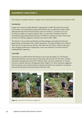 Diagnostic case study 2

     Surveying a complex disease—ginger wilt caused by bacterial and Fusarium wilts

     Introduction
     Ginger wilt was first recorded officially in Quang Nam in 2000. The disease has caused
     severe losses, with many farmers losing 100% of their crop. A preliminary study in 2006
     indicated that bacterial wilt and Fusarium wilt were involved. A systematic survey of
     the disease complex was made in January 2007, as a part of the Australian Centre for
     International Agricultural Research project CP/2002/115, Diseases of crops in the central
     provinces of Vietnam: diagnosis, extension and control (2005–2008).
     The objective was to isolate and identify potential pathogens associated with diseased
     ginger plants, and determine their relative importance. Ten diseased plants were collected
     from each of 10 crops from two districts, Phu Ninh and Tien Phuoc, which are the main
     areas of ginger production in Quang Nam. Crops were selected on an ad hoc basis for
     sampling before inspection.

     In the field
     Information was collected from the farmers at each crop site (Figure 3.3). The farmers
     maintained that there were two types of wilt: quick wilt and slow wilt. The leaves of plants
     with quick wilt appeared to have been ‘boiled in water’ and were translucent. In contrast,
     the leaves of plants with slow wilt appeared yellow (Figure 3.4). These comments suggested
     that two diseases were involved and the symptoms described were assumed to correspond
     to bacterial wilt (quick wilt) and Fusarium wilt (slow wilt).




     Figure 3.3 Discussions with farmers on ginger wilt




36      Diagnostic manual for plant diseases in Vietnam
 