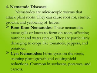 4. Nematode Diseases
Nematodes are microscopic worms that
attack plant roots. They can cause root rot, stunted
growth, and yellowing of leaves.
 Root Knot Nematodes: These nematodes
cause galls or knots to form on roots, affecting
nutrient and water uptake. They are particularly
damaging to crops like tomatoes, peppers, and
potatoes.
 Cyst Nematodes: Form cysts on the roots,
stunting plant growth and causing yield
reductions. Common in soybeans, potatoes, and
carrots.
 