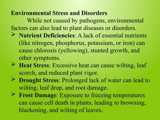 Environmental Stress and Disorders
While not caused by pathogens, environmental
factors can also lead to plant diseases or disorders.
 Nutrient Deficiencies: A lack of essential nutrients
(like nitrogen, phosphorus, potassium, or iron) can
cause chlorosis (yellowing), stunted growth, and
other symptoms.
 Heat Stress: Excessive heat can cause wilting, leaf
scorch, and reduced plant vigor.
 Drought Stress: Prolonged lack of water can lead to
wilting, leaf drop, and root damage.
 Frost Damage: Exposure to freezing temperatures
can cause cell death in plants, leading to browning,
blackening, and wilting of leaves.
 