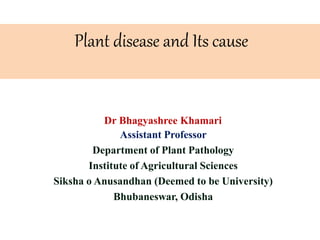 Plant disease and Its cause
Dr Bhagyashree Khamari
Assistant Professor
Department of Plant Pathology
Institute of Agricultural Sciences
Siksha o Anusandhan (Deemed to be University)
Bhubaneswar, Odisha
 