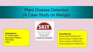 Plant Disease Detection
(A Case Study on Mango)
Submitted to:
Dr. Pallav Rawal
Associate Professor
SKIT,M&G
Jaipur
Submitted by:
Mansha Modi(19ESKEC083)
Manisha Balani (19ESKEC080)
Kanika Singhal (19ESKEC063)
Kratik Khandelwal (19ESKEC071)
 