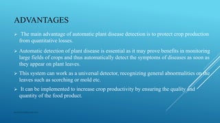 Plant disease detection and classification using deep learning 