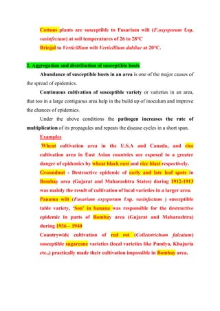 Cottons plants are susceptible to Fusarium wilt (F.oxysporum f.sp.
vasinfectum) at soil temperatures of 26 to 28°C
Brinjal to Verticillium wilt Verticillium dahliae at 20°C.
2. Aggregation and distribution of susceptible hosts
Abundance of susceptible hosts in an area is one of the major causes of
the spread of epidemics.
Continuous cultivation of susceptible variety or varieties in an area,
that too in a large contiguous area help in the build up of inoculum and improve
the chances of epidemics.
Under the above conditions the pathogen increases the rate of
multiplication of its propagules and repeats the disease cycles in a short span.
Examples
Wheat cultivation area in the U.S.A and Canada, and rice
cultivation area in East Asian countries are exposed to a greater
danger of epidemics by wheat black rust and rice blast respectively.
Groundnut - Destructive epidemic of early and late leaf spots in
Bombay area (Gujarat and Maharashtra States) during 1912-1913
was mainly the result of cultivation of local varieties in a larger area.
Panama wilt (Fusarium oxysporum f.sp. vasinfectum ) susceptible
table variety, ‘Son’ in banana was responsible for the destructive
epidemic in parts of Bombay area (Gujarat and Maharashtra)
during 1936 – 1940
Countrywide cultivation of red rot (Colletotrichum falcatum)
susceptible sugarcane varieties (local varieties like Pundya, Khajuria
etc.,) practically made their cultivation impossible in Bombay area.
 