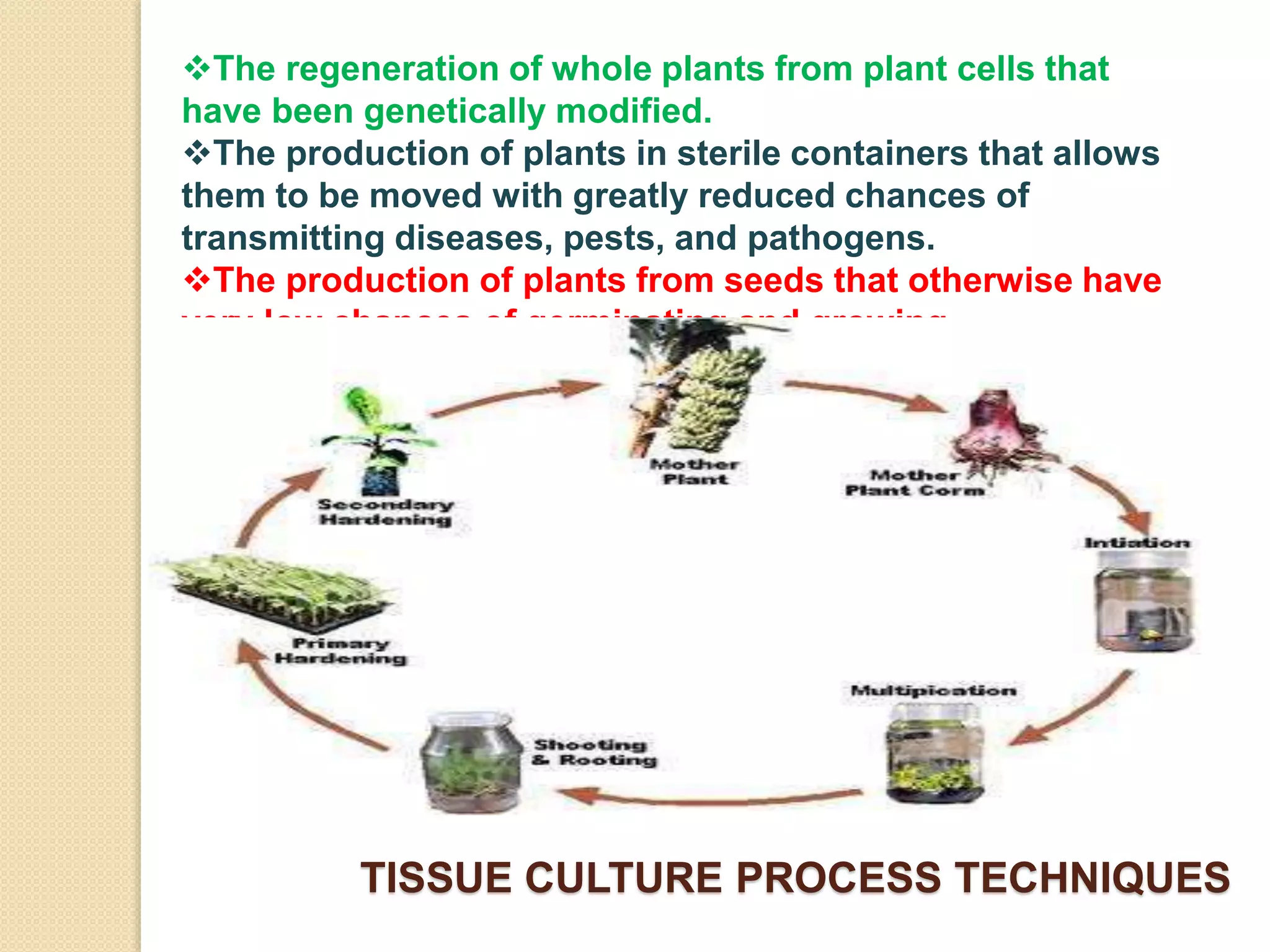 Plant disease management tissue culture techniques | PPTX