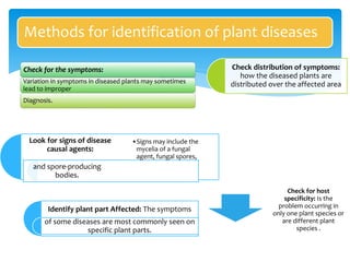 Methods for identification of plant diseases
Check for the symptoms:
Variation in symptoms in diseased plants may sometimes
lead to improper
Diagnosis..
Look for signs of disease
causal agents:
and spore-producing
bodies.
•Signs may include the
mycelia of a fungal
agent, fungal spores,
Identify plant part Affected: The symptoms
of some diseases are most commonly seen on
specific plant parts.
Check distribution of symptoms:
how the diseased plants are
distributed over the affected area
Check for host
specificity: Is the
problem occurring in
only one plant species or
are different plant
species .
 