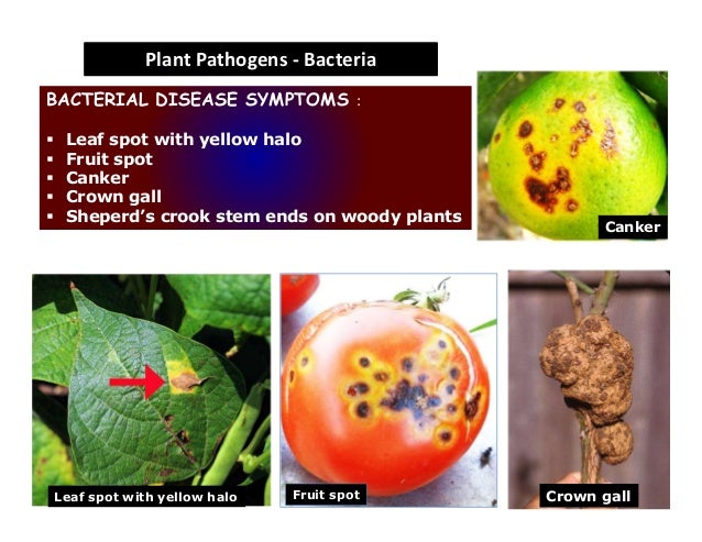 Causal agents of plant disease