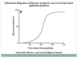 Plant diseases epidemiology | PPTX