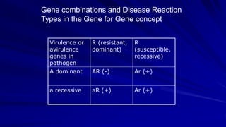 Virulence or
avirulence
genes in
pathogen
R (resistant,
dominant)
R
(susceptible,
recessive)
A dominant AR (-) Ar (+)
a recessive aR (+) Ar (+)
Gene combinations and Disease Reaction
Types in the Gene for Gene concept
 