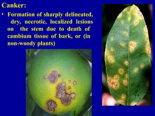 PLANT DISEASE management in the plant pathology | PPT