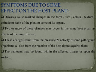 SYMPTOMS DUE TO SOME
EFFECT ON THE HOST PLANT:
❑ Diseases cause marked changes in the form , size , colour , texture ,
attitude or habit of the plant or some of its organs.
❑ Two or more of these changes may occur in the same host organ as
effects of the same disease.
❑ These changes result from the presence & activity ofsome pathogenic
organisms & also from the reaction of the host tissues against them.
❑ The pathogen may be found within the affected tissues or upon the
surface.
19
 