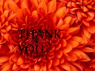 THANK YOU
THANK
YOU
30
 