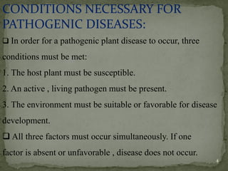 CONDITIONS NECESSARY FOR
PATHOGENIC DISEASES:
❑ In order for a pathogenic plant disease to occur, three
conditions must be met:
1. The host plant must be susceptible.
2. An active , living pathogen must be present.
3. The environment must be suitable or favorable for disease
development.
❑ All three factors must occur simultaneously. If one
factor is absent or unfavorable , disease does not occur.
4
 