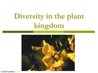 Diversity in the plant
                     kingdom




© 2008 Paul Billiet ODWS
 