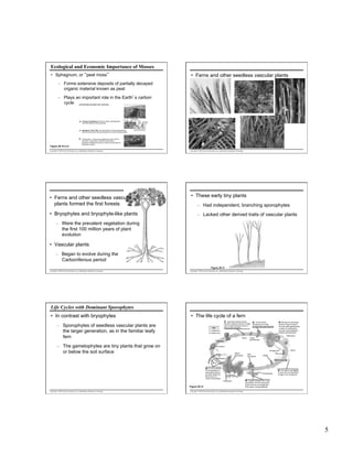 Ecological and Economic Importance of Mosses
•  Sphagnum, or “peat moss”

•  Ferns and other seedless vascular plants

–  Forms extensive deposits of partially decayed
organic material known as peat
–  Plays an important role in the Earth’s carbon
cycle
(a) Peat being harvested from a peat bog

(b) Closeup of Sphagnum. Note the “leafy” gametophytes
and their offspring, the sporophytes.

Gametophyte

Sporangium at
tip of sporophyte
Living
photo- Dead watersynthetic storing cells
cells
100 µm

(c) Sphagnum “leaf” (LM). The combination of living photosynthetic
cells and dead water-storing cells gives the moss its spongy quality.

Figure 29.10 a–d

(d) “Tolland Man,” a bog mummy dating from 405–100 B.C.
The acidic, oxygen-poor conditions produced by
Sphagnum canpreserve human or other animal bodies for
thousands of years.

Copyright © 2005 Pearson Education, Inc. publishing as Benjamin Cummings

•  Ferns and other seedless vascular
plants formed the first forests
•  Bryophytes and bryophyte-like plants

Copyright © 2005 Pearson Education, Inc. publishing as Benjamin Cummings

•  These early tiny plants
–  Had independent, branching sporophytes
–  Lacked other derived traits of vascular plants

–  Were the prevalent vegetation during
the first 100 million years of plant
evolution

•  Vascular plants
–  Began to evolve during the
Carboniferous period
Figure 29.11
Copyright © 2005 Pearson Education, Inc. publishing as Benjamin Cummings

Copyright © 2005 Pearson Education, Inc. publishing as Benjamin Cummings

Life Cycles with Dominant Sporophytes
•  In contrast with bryophytes

•  The life cycle of a fern

–  Sporophytes of seedless vascular plants are
the larger generation, as in the familiar leafy
fern

1 Sporangia release spores.
Most fern species produce a single
type of spore that gives rise to a
bisexual gametophyte.

Key

2 The fern spore
develops into a small,
photosynthetic gametophyte.

3 Although this illustration
shows an egg and sperm
from the same gametophyte,
a variety of mechanisms
promote cross-fertilization
between gametophytes.

Haploid (n)
Diploid (2n)

Antheridium
Spore
MEIOSIS

–  The gametophytes are tiny plants that grow on
or below the soil surface

Young
gametophyte

Sporangium
Archegonium
Mature
sporophyte

New
sporophyte

Sperm

Egg
Zygote

Sporangium

FERTILIZATION

Sorus
6 On the underside
of the sporophyte‘s
reproductive leaves
are spots called sori.
Each sorus is a
cluster of sporangia.

Gametophyte

Fiddlehead

Figure 29.12
Copyright © 2005 Pearson Education, Inc. publishing as Benjamin Cummings

4 Fern sperm use flagella
to swim from the antheridia
to eggs in the archegonia.

5 A zygote develops into a new
sporophyte, and the young plant
grows out from an archegonium
of its parent, the gametophyte.

Copyright © 2005 Pearson Education, Inc. publishing as Benjamin Cummings

5

 