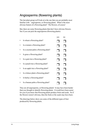 14 Living things
Angiosperms (flowering plants)
The last plant group we'll look at is the one that you are probably most
familiar with – angiosperms, or flowering plants. What is the most
obvious feature of a flowering plant? The flowers, of course!
But, there are some flowering plants that don’t have obvious flowers.
See if you can pick the angiosperms (flowering plants).
yes no
• Is wheat a flowering plant?
• Is a tomato a flowering plant?
• Is a coconut palm a flowering plant?
• Is grass a flowering plant?
• Is a gum tree a flowering plant?
• Is a peach tree a flowering plant?
• Is an apple tree a flowering plant?
• Is a lettuce plant a flowering plant?
• Is barley a flowering plant?
• Is a banana palm a flowering plant?
They are all angiosperms, or flowering plants! It may have been harder
than you thought to identify flowering plants. It would have been easier
for you if you knew that flowering plants produce fruits and seeds. So if
the flowers weren’t obvious, then the fruits or the seeds may have been.
The drawings below show you some of the different types of fruit
produced by flowering plants.
 