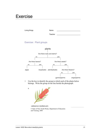 Lesson 18/20 More about classifying plants 21
Exercise
Living things Name ___________________________
Teacher ___________________________
Exercise: Plant groups
Are there roots and stems?
Are there seeds?
Are there flowers?
bryophytes
angiosperms
plants
no yes
no yes
no yes
pteridophytes
gymnosperms
Are there leaves?
algae
no yes
1 Use the key to identify the group to which each of the plants below
belongs. Write the group on the line beside the photograph.
a
callistemon (bottlebrush)
© State of New South Wales, Department of Education
and Training, 2004
 