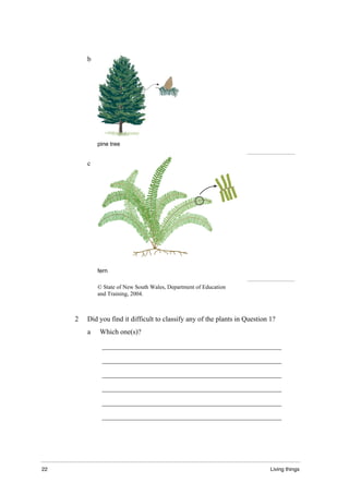 22 Living things
b
pine tree
c
fern
© State of New South Wales, Department of Education
and Training, 2004.
2 Did you find it difficult to classify any of the plants in Question 1?
a Which one(s)?
___________________________________________________
___________________________________________________
___________________________________________________
___________________________________________________
___________________________________________________
___________________________________________________
 