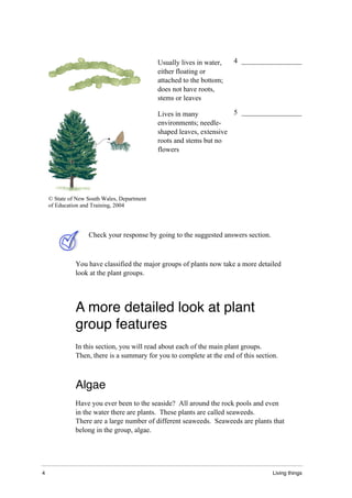 4 Living things
Usually lives in water,
either floating or
attached to the bottom;
does not have roots,
stems or leaves
4 _________________
Lives in many
environments; needle-
shaped leaves, extensive
roots and stems but no
flowers
5 _________________
© State of New South Wales, Department
of Education and Training, 2004
Check your response by going to the suggested answers section.
You have classified the major groups of plants now take a more detailed
look at the plant groups.
A more detailed look at plant
group features
In this section, you will read about each of the main plant groups.
Then, there is a summary for you to complete at the end of this section.
Algae
Have you ever been to the seaside? All around the rock pools and even
in the water there are plants. These plants are called seaweeds.
There are a large number of different seaweeds. Seaweeds are plants that
belong in the group, algae.
 