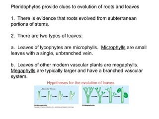 Plant Biodiversity – Concepts of evolution - Novel features of plant ...