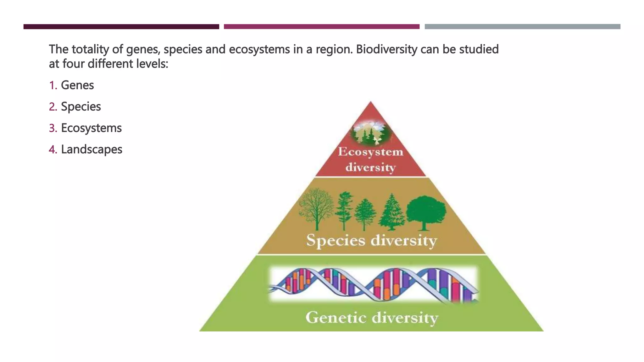 Plant Diversity & its scope.pptx