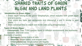 Plant Diversity presentation (1).pdf biology | PDF