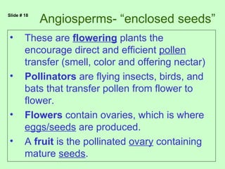 Slide # 18
             Angiosperms- “enclosed seeds”
•       These are flowering plants the
        encourage direct and efficient pollen
        transfer (smell, color and offering nectar)
•       Pollinators are flying insects, birds, and
        bats that transfer pollen from flower to
        flower.
•       Flowers contain ovaries, which is where
        eggs/seeds are produced.
•       A fruit is the pollinated ovary containing
        mature seeds.
 