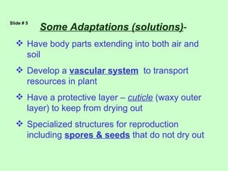 Slide # 5
            Some Adaptations (solutions)-
   Have body parts extending into both air and
    soil
   Develop a vascular system to transport
    resources in plant
   Have a protective layer – cuticle (waxy outer
    layer) to keep from drying out
   Specialized structures for reproduction
    including spores & seeds that do not dry out
 